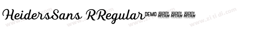 HeidersSans RRegular字体转换